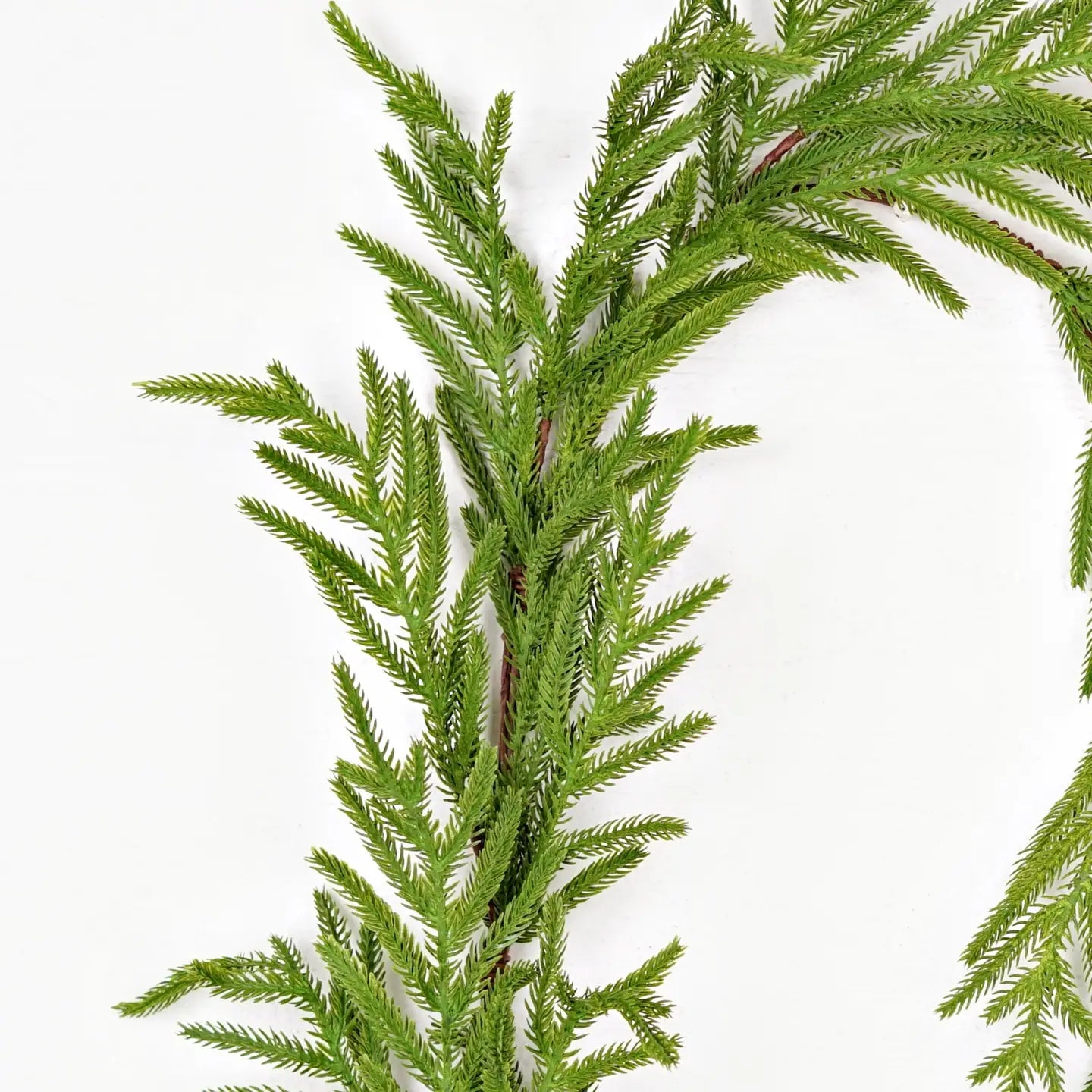 Garland-Soft Touch Evergreen Norfolk Pine 5ft