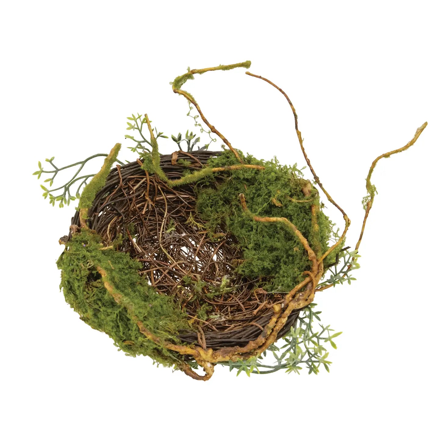 Mossy Twig Bird Nest