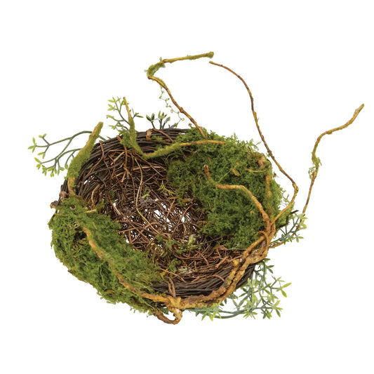 Mossy Twig Bird Nest
