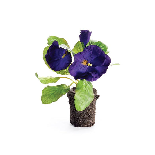 Pansy Drop-in 6.5", Purple