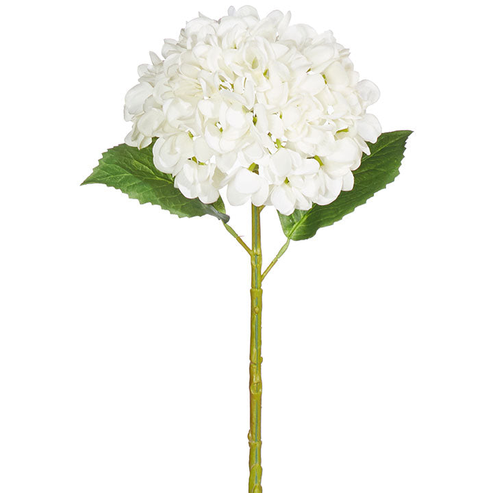 Stem- Hydrangea White (20")
