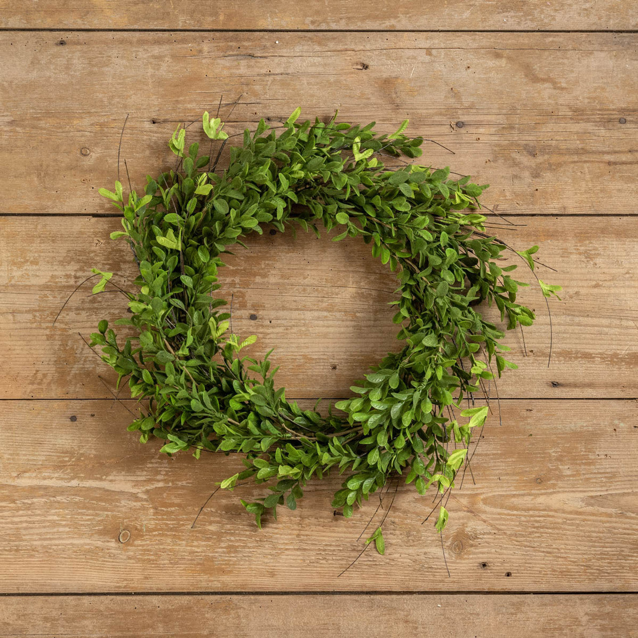 Wreath, Boxwood Leaf 22"