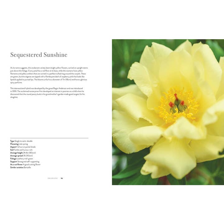 Book, "Peonies: Beautiful Varieties For Home & Garden"