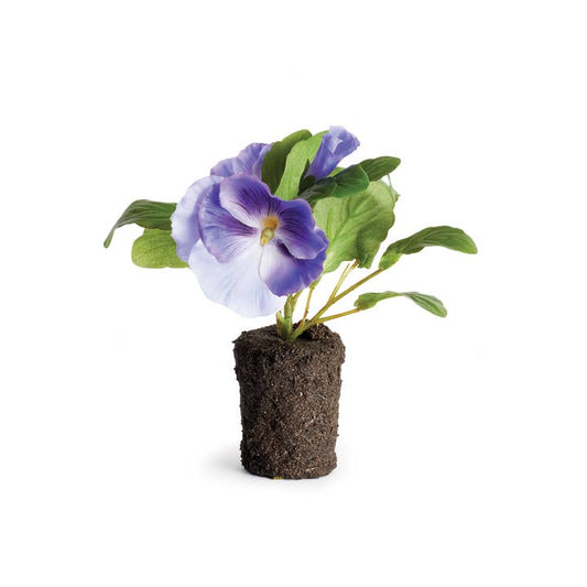 Pansy Drop-in 6.5", Violet