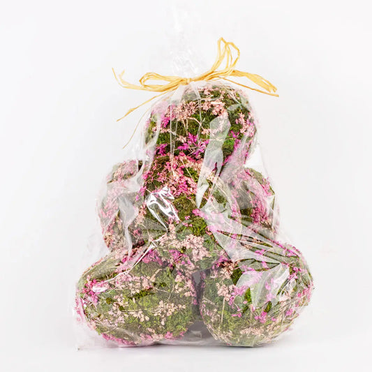 Moss Eggs Green/Pink