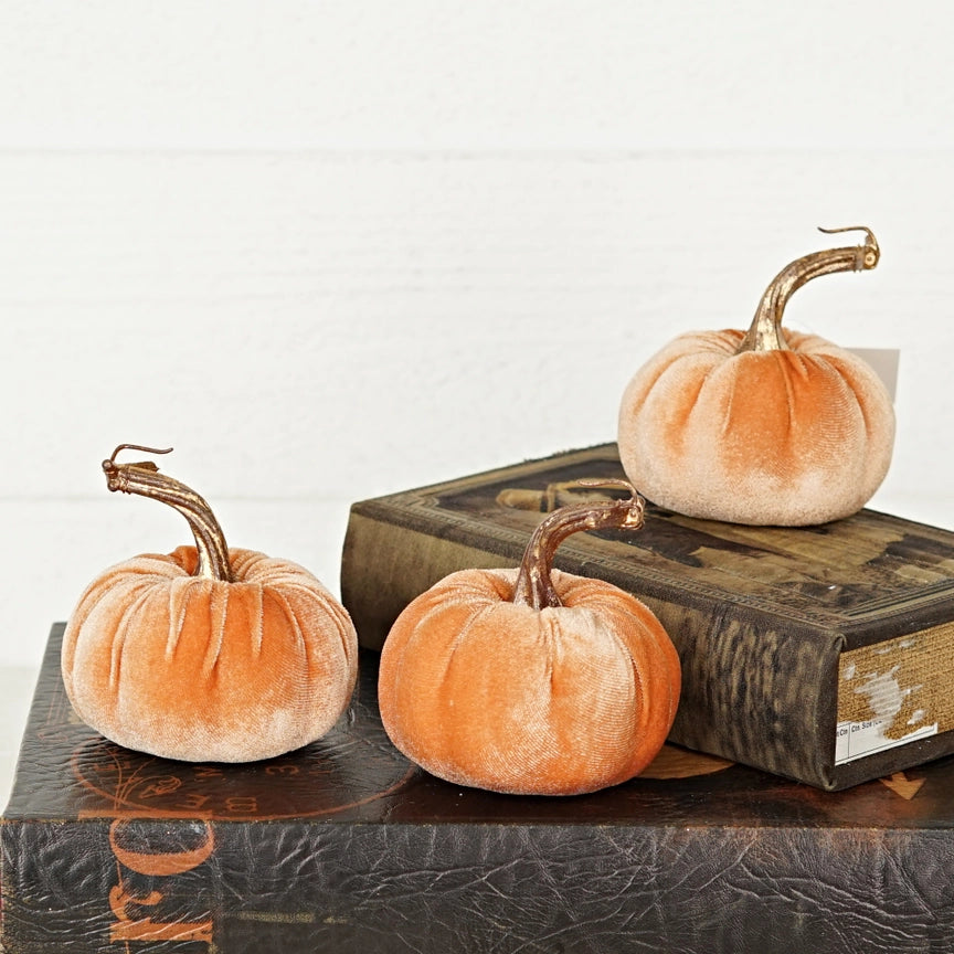 Velvet Pumpkin with Golden Stem, Peach 4"