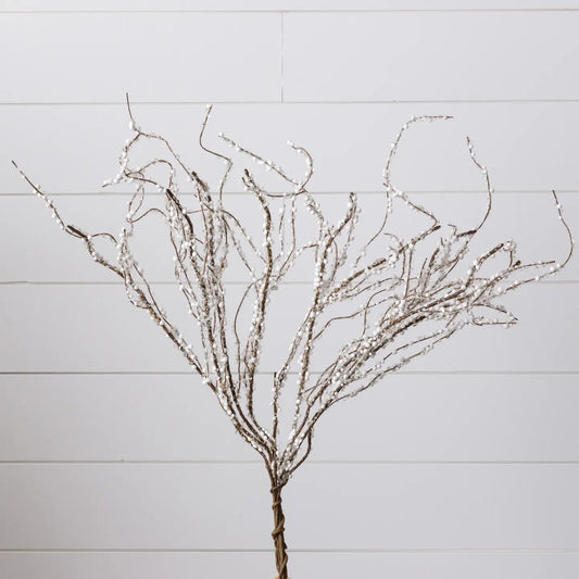 Branch, Ice Crystals and Snow