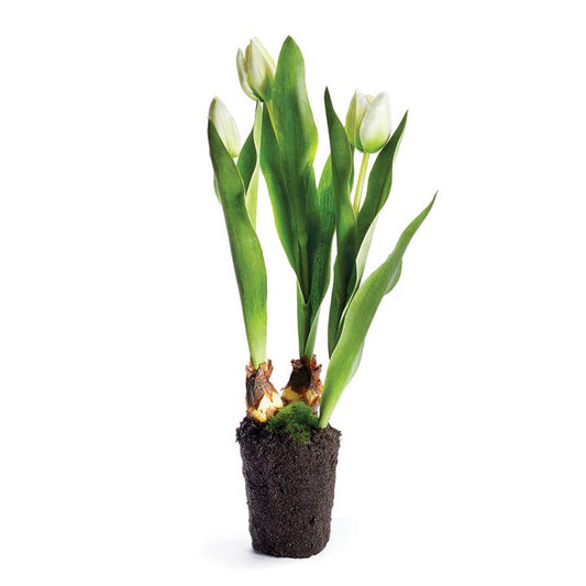 Tulip Drop-in 18", White