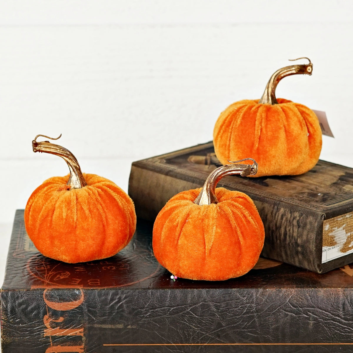 Velvet Pumpkin with Golden Stem, Orange 4"