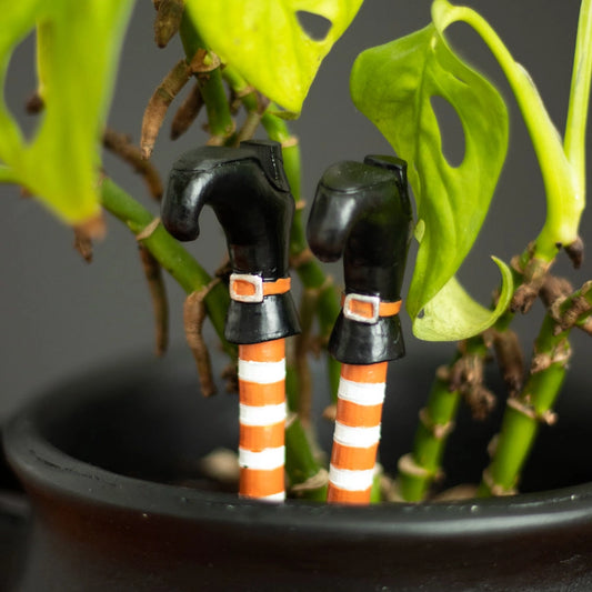 Witch Leg Halloween Plant Pot Ornaments, Set of 2 (Pre-Order)