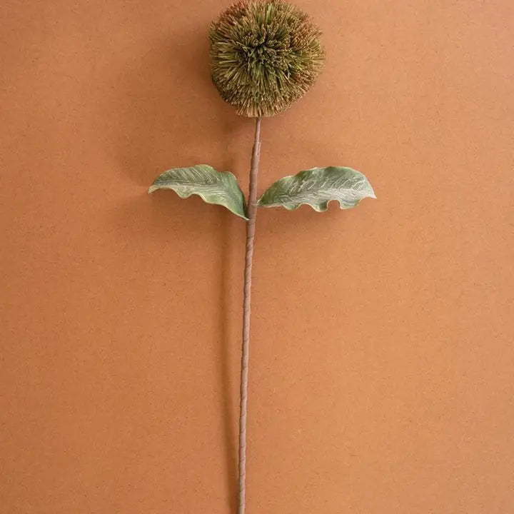 Botanica #3620