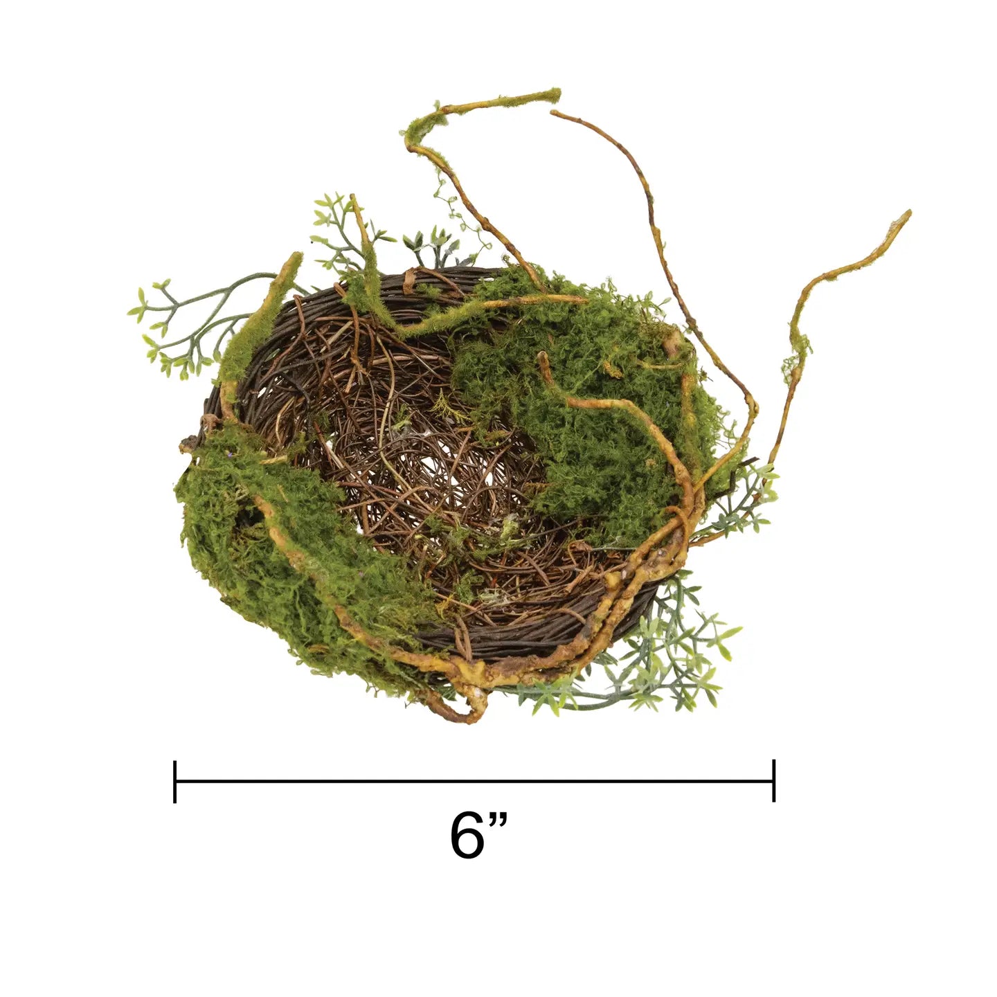 Mossy Twig Bird Nest