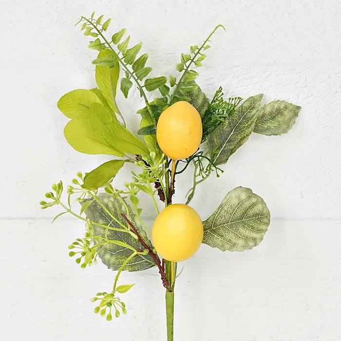 Lemon with Boxwood Stem