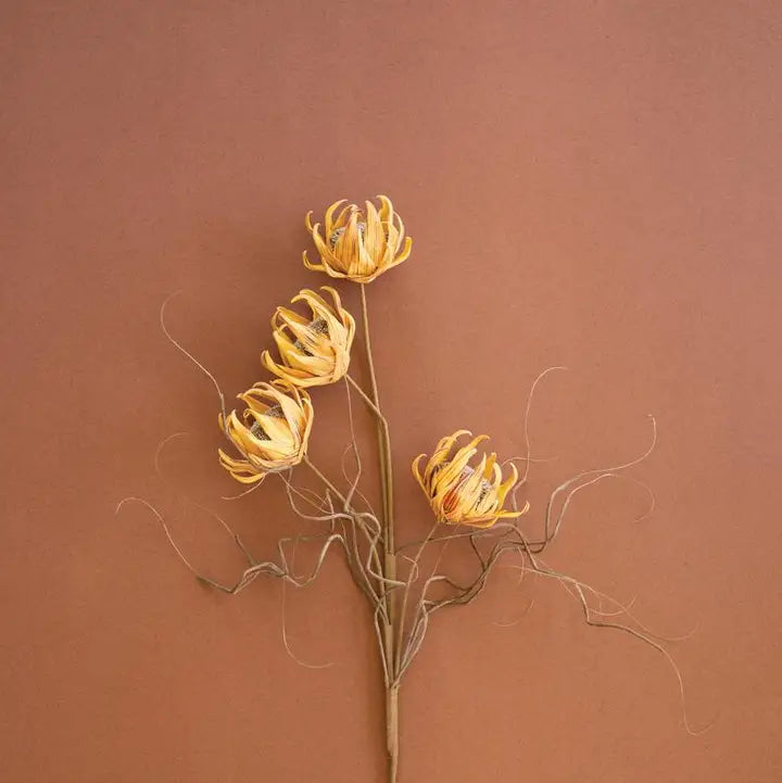 Botanica #2688