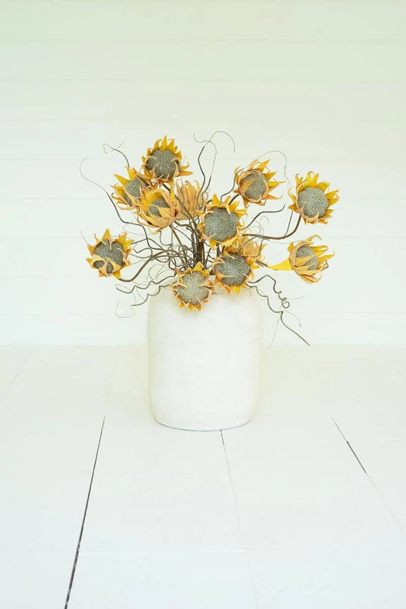 Botanica #2688