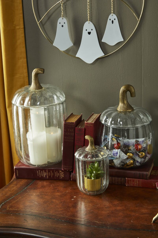 Translucent Pumpkin Terrarium