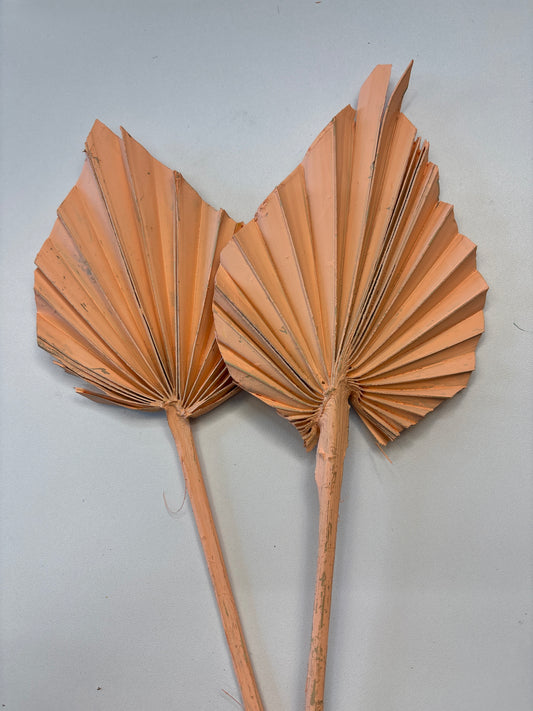 Dried Palms, Peach