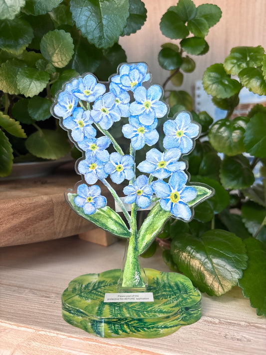 Forget Me Nots with Fern Base Sitter