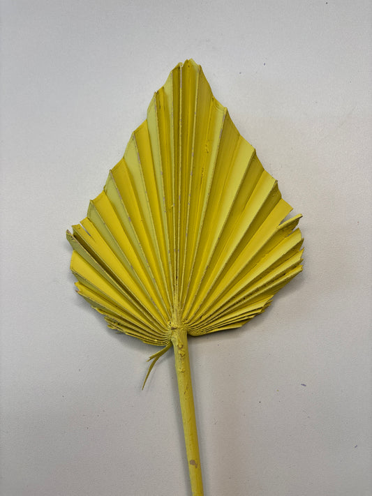 Dried Palms, Yellow