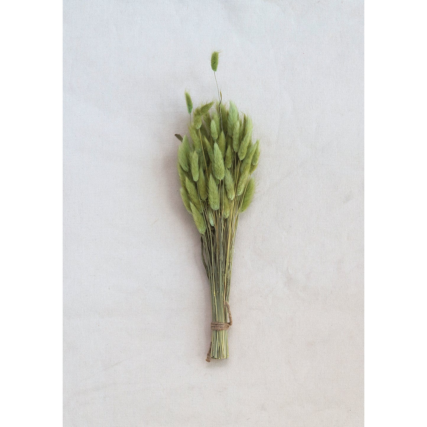 Stem-Dried Natural Bunny Tail Grass