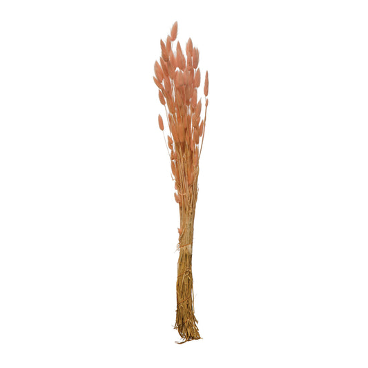 Stem Bunny Tail Bunch, Pink