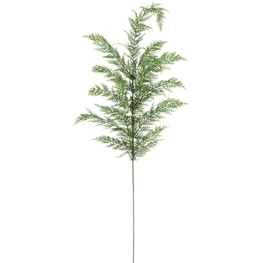 Holiday Stem “Cypress”